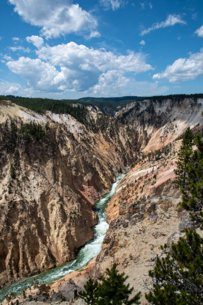 rivière de yellowstone au grand canyon de yellowstone - eroded water grand canyon of yellowstone river river photos et images de collection