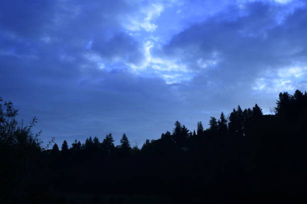 istock Dramatic Silhouetted Coniferous Trees Against Vivid Cloudy Sunrise Sky 1180461044