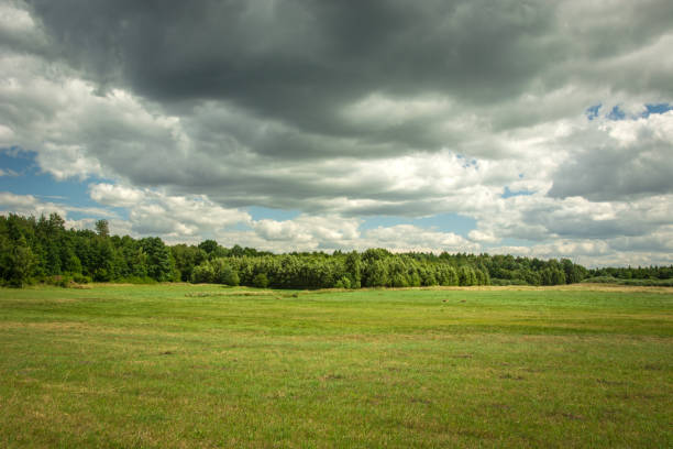 istock Green meadow, forest and clouds in the sky 1180461294