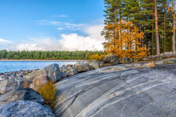 istock Kajosaari island 1180464789
