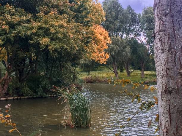 istock Autumn in Nederland 1180464794