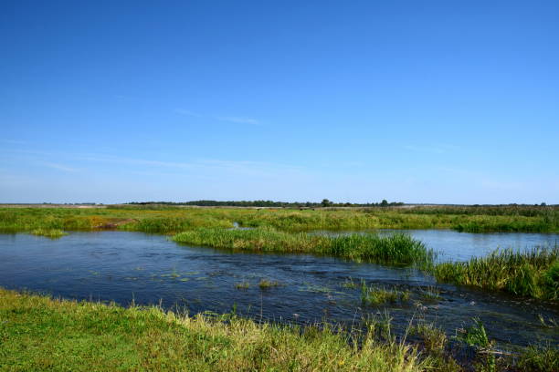 istock A shallow yet vast stream or lake flowing dynamically through small islands and peninsulas covered with grass, reeds, and flowers seen on a sunny cloudless day on a Polish countryside 1180464816