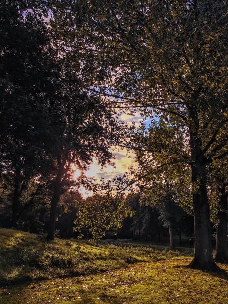 istock Autumn in Nederland 1180464820