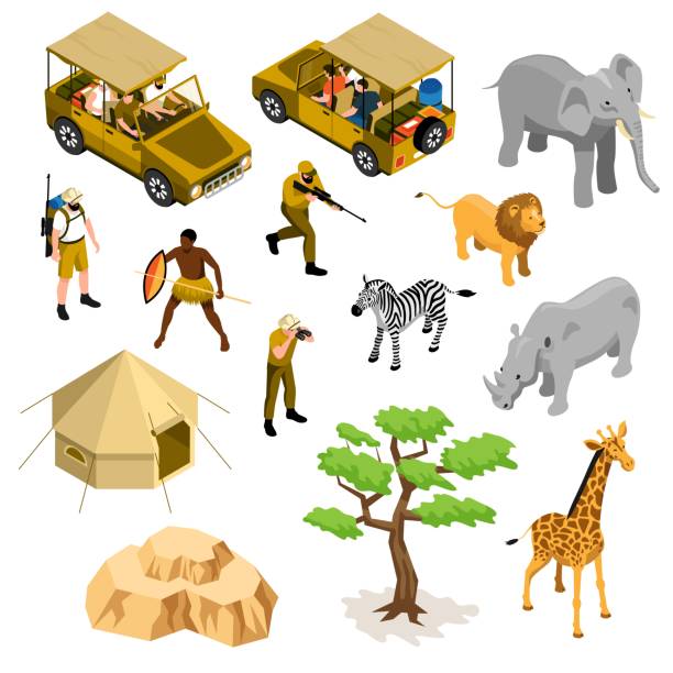 ilustrações, clipart, desenhos animados e ícones de ícones isométricos do safari ajustados - lion sands