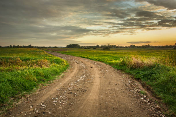 istock Dirt road with stones, horizon and evening sky 1180466247