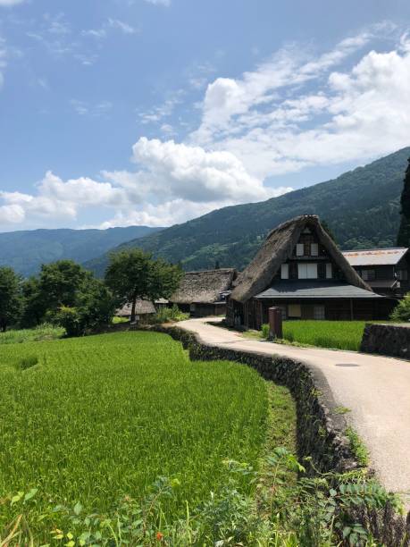 istock Shirakawago in summer 1180467204