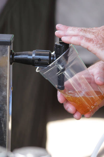 istock Close up of unrecognisable bartender pouring draft beer in disposable drinking pint glass, beer pump tap pouring a draught lager beer 1180468942