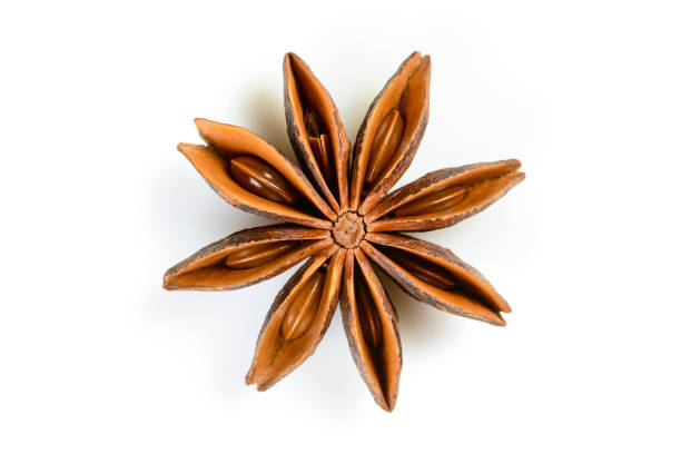 istock Star anise. Single star anise fruit. Macro close up Isolated on white background with shadow, top view of chinese badiane spice or Illicium verum. 1180469207