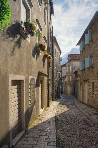 istock Montenegro. View of Risan town on sunny summer day 1180471233