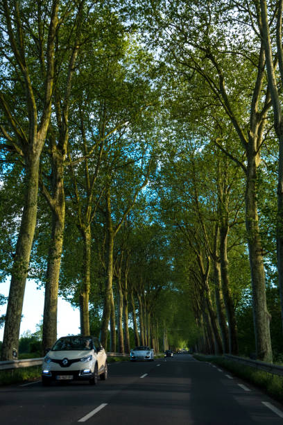 istock Beautiful straight road and green trees 1180472182