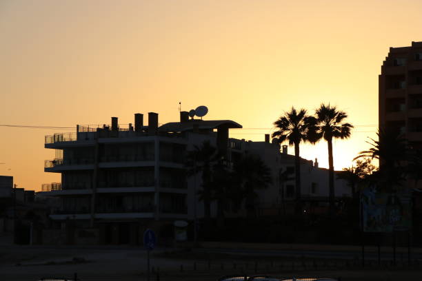 istock Mira Bay silhouette 1180472242