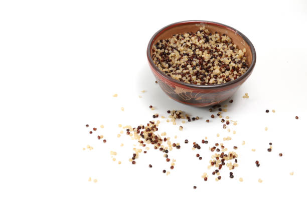 Pictured steamed quinoa in a white background.