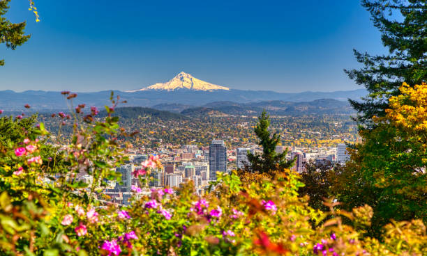 Portland Oregon skyline with Mt. Hood in Autumn stock photo