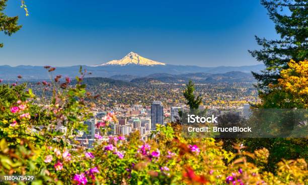 Portland Oregon Skyline With Mt Hood In Autumn Stock Photo - Download Image Now - Portland - Oregon, Mt Hood, Urban Skyline