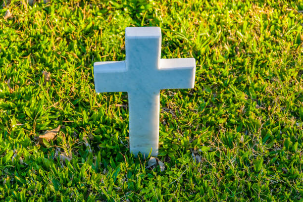 Several white crosses on the ground