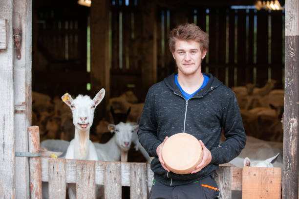 Pride Young farmer holding a Goat whole cheese round