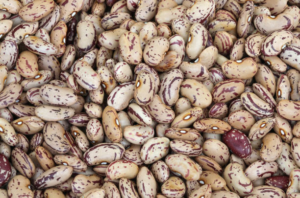 фон многих бобов - borlotto bean стоковые фото и изображения