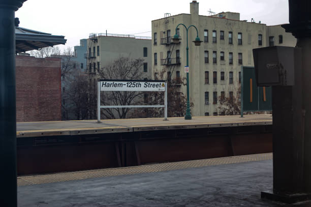 Harlem-125th Street is one of the Metro-North Railroad stations, Metropolitan Transportation Authority, located in the center of Harlem, Manhattan, New York