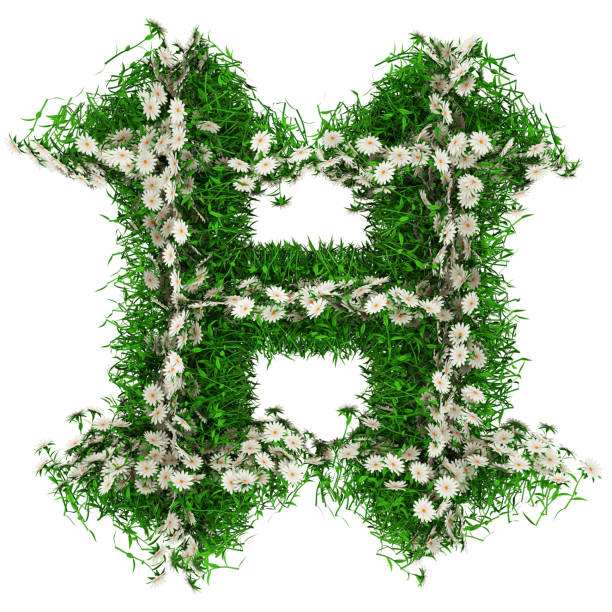 녹색 잔디와 꽃의 문자 h입니다. 디자인용 글꼴입니다. 3d 일러스트레이션 - letter h alphabet three dimensional shape green 뉴스 사진 이미지