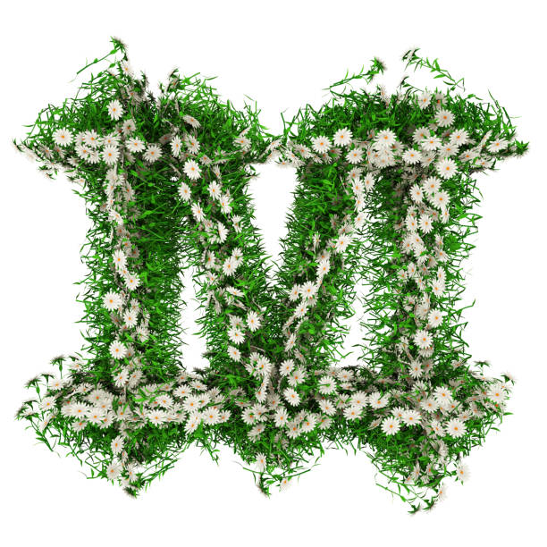 letter m of green grass and flowers. font for your design. 3d illustration - m chamomilla imagens e fotografias de stock
