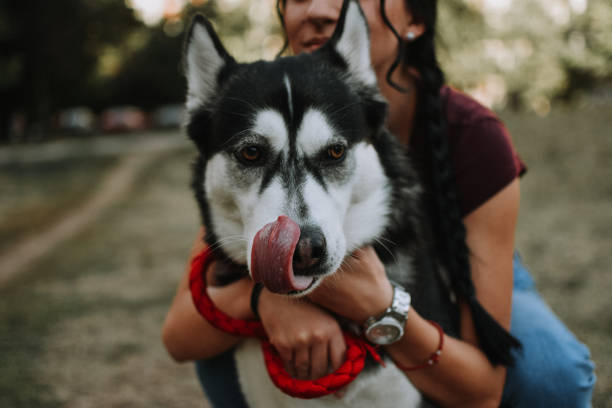 istock Young woman with dog 1180487381