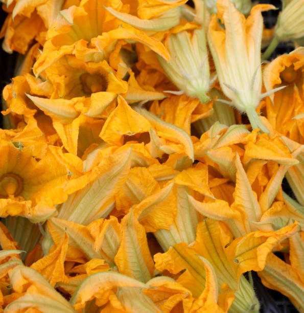 fiori di zucca freschi chiamati anche fiori di zucchine - squash blossom foto e immagini stock