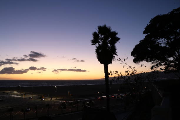 istock Santa Monica at night 1180489156