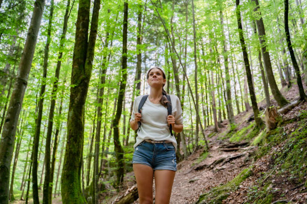 istock Young Woman Hiking in Forest in Summer 1180492773