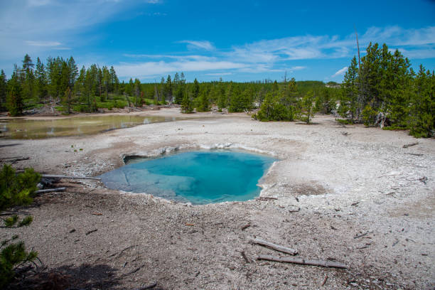 istock Geothermal feature at Norris geyser basin at Yellowstone National Park (USA) 1180494826