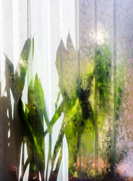 istock Silhouettes of flowers behind a plastic curtain 1180496248