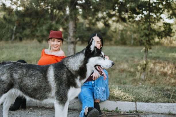 istock Young women and a dog 1180496323