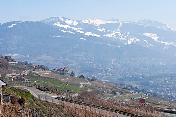 istock Vineyards in Spring, Vaud, Switzerland Above Montreux 118049737