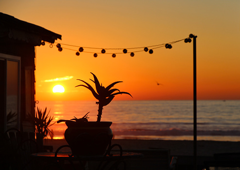 Catch a romantic sunset and embark on this scenic journey from San Diego.