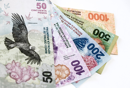 Selective focus on Argentina banknotes with native and protected animal species.