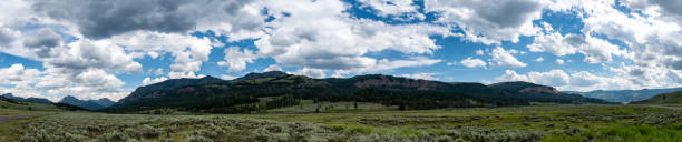 istock Lamar valley in Yellowstone National Park 1180508306