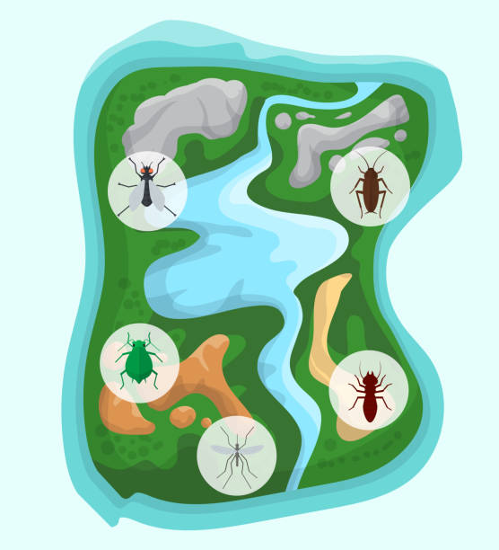 ilustrações, clipart, desenhos animados e ícones de controle de praga sobre o console verde separado com rio e montanhas. bandeira que detecta insetos e animais prejudiciais. ilustração do vetor para o contrapeso da natureza. erros, mosca, barata e ícones do mosquito. - centipede poisonous organism toxic substance insect