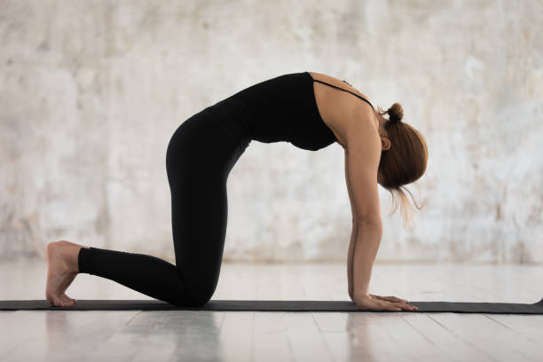 Calm woman practicing yoga, standing in Cat pose, Marjaryasana exercise