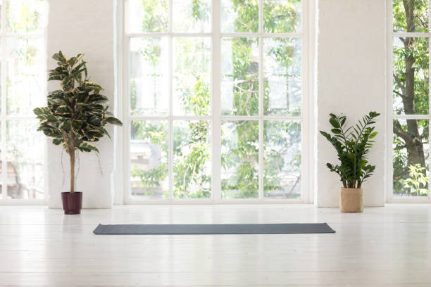 istock Yoga studio interior with windows, plants and unrolled mat 1180509481