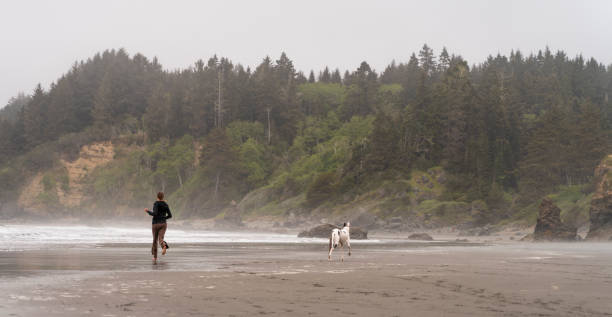 the mature, 40-years-old, caucasian-white woman running with her big dog on the beach of the pacific ocean in the foggy day. trinidad, california, west coast of united states. - 35 40 years fotos imagens e fotografias de stock