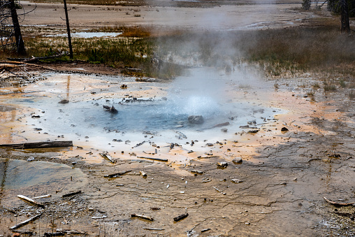 Steaming hot spring in Yellowstone of vivid colors caused by thermophilic bacteria