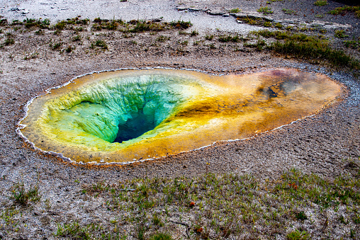 Colorful hot spring in Yellowstone of vivid colors caused by thermophilic bacteria