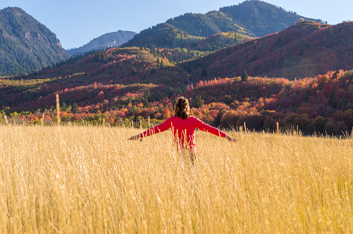 This is a view of a woman walking through a golden field of dry grass.  In the background are colorful autumn trees and leaves on a Utah mountain peak. This shot was taken in the late afternoon with shadows cast across the mountaintops.