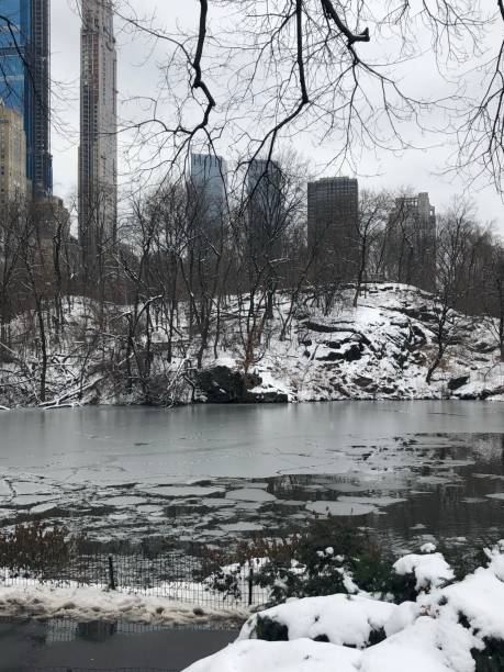 istock Central Park, Manhattan, New York City in winter. 1180520162
