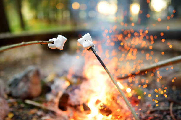 istock Roasting marshmallows on stick at bonfire. Having fun at camp fire. 1180524164