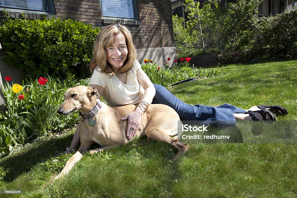 Mujer madura y perros mascota - Foto de stock de Galgo inglés libre de derechos