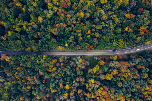 istock Aerial Road Trip in Catskill Mountains Preserve 1180527563