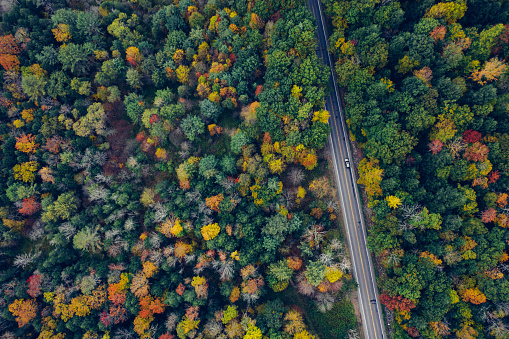 Aerial Road Trip in Catskill Mountains Preserve