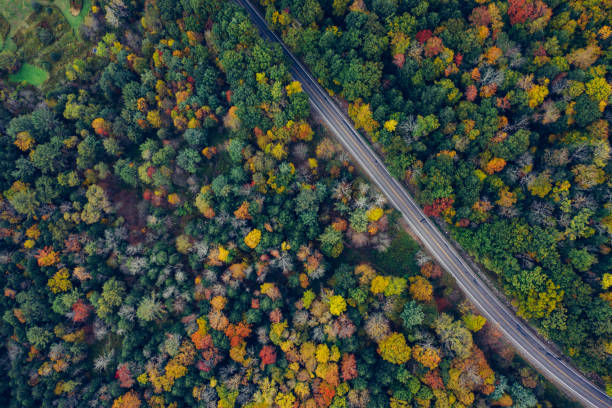 istock Aerial Road Trip in Catskill Mountains Preserve 1180528395