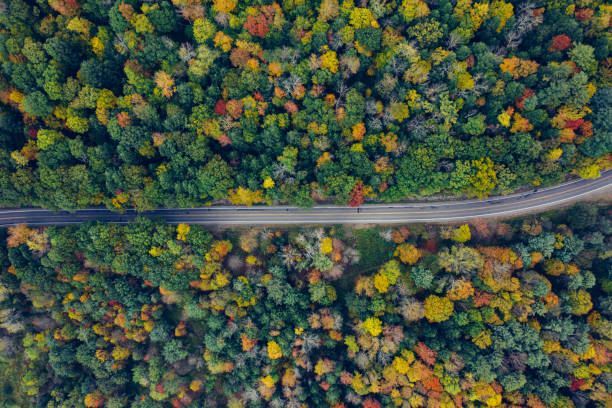 istock Aerial Road Trip in Catskill Mountains Preserve 1180528435