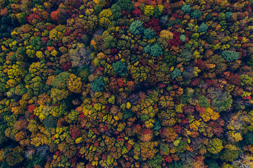 Aerial view in Catskill Mountains Preserve